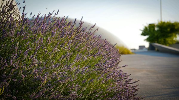 Comment nettoyer les appareils électroménagers avec des produits d'entretien ménagers ?