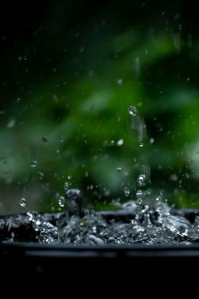 Comment installer un récupérateur d'eau de pluie pour votre jardin ?