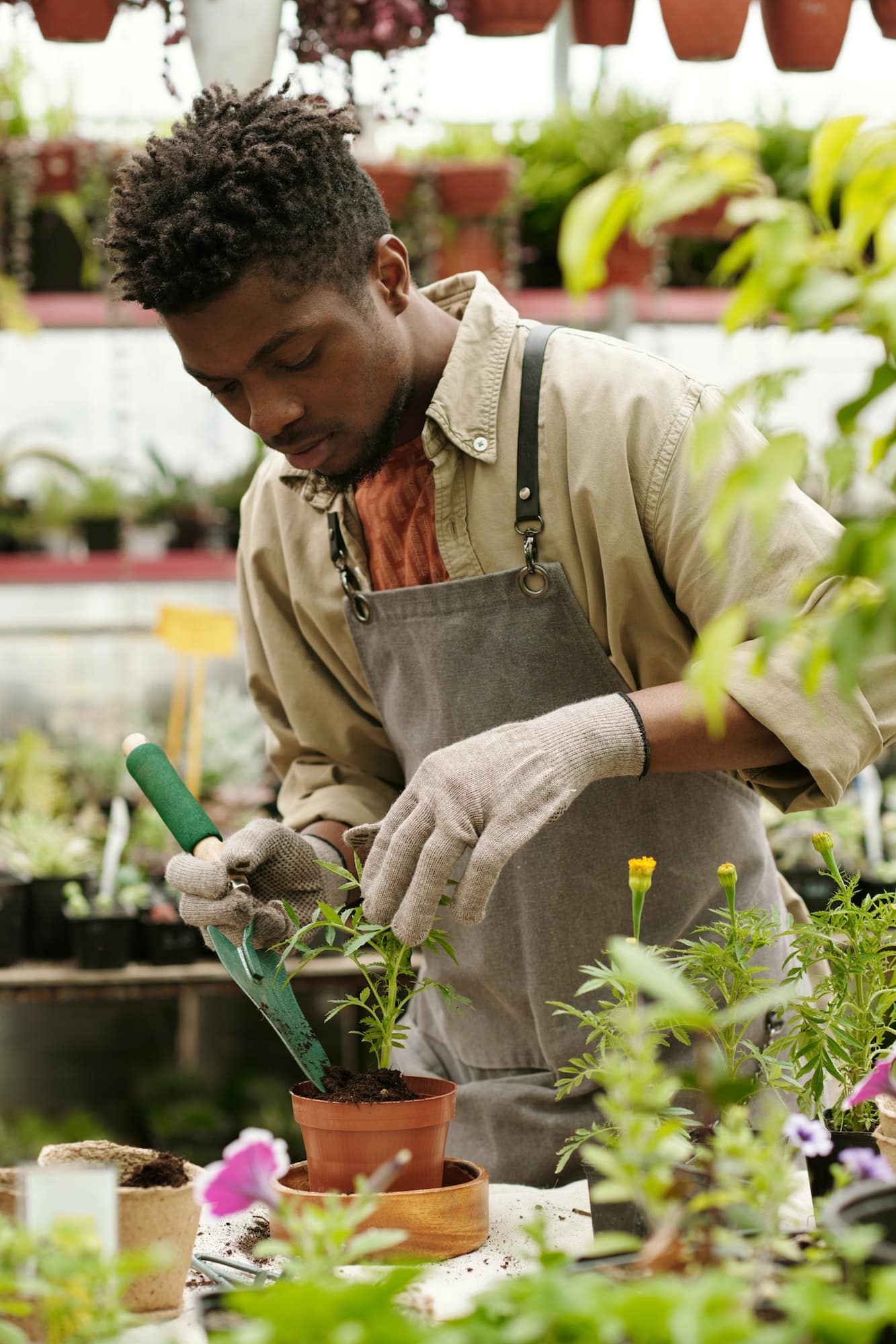 Apportez une ambiance naturelle avec des plantes artificielles