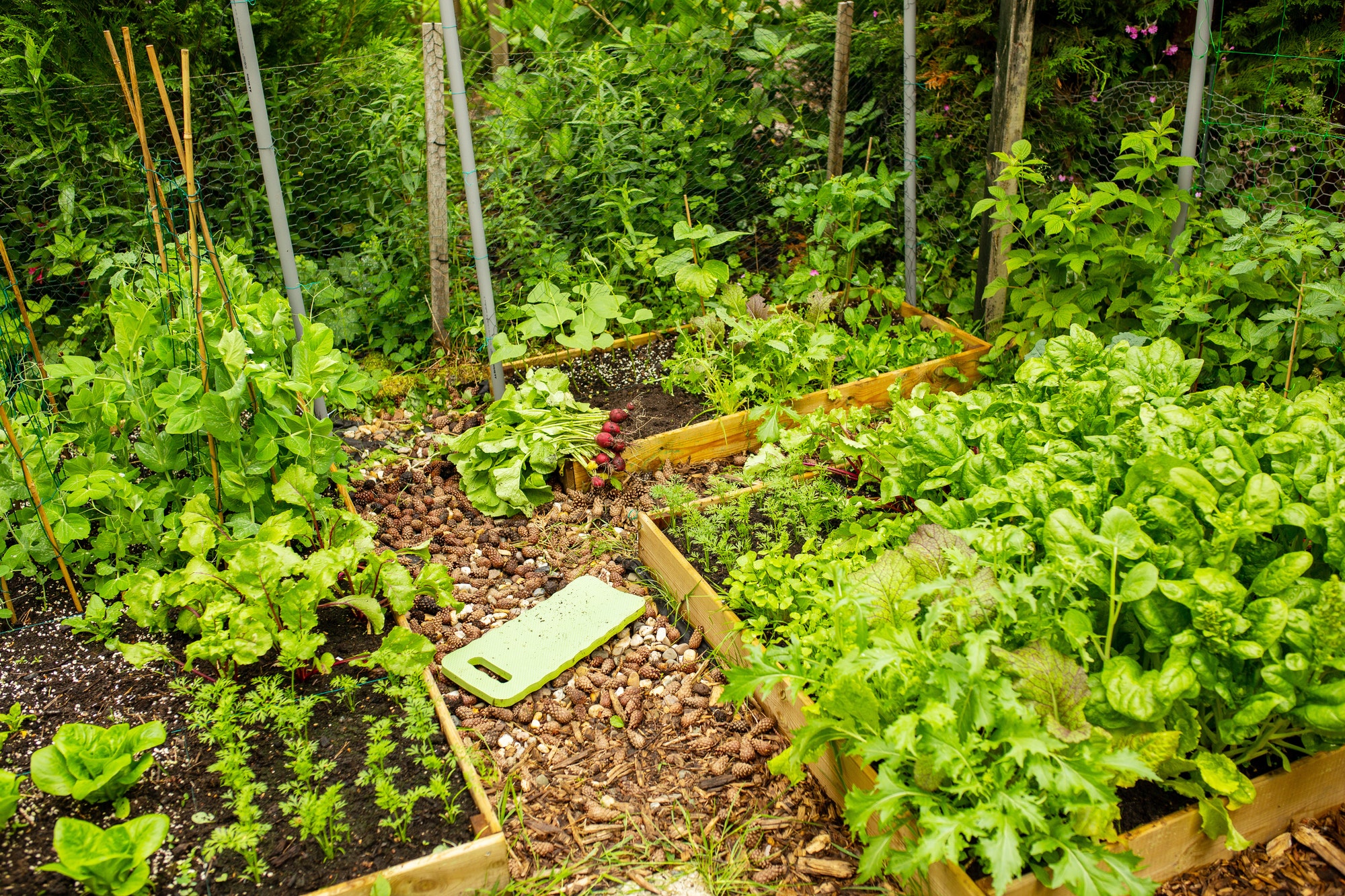 Permaculture à Genève : concept, principes et avantages